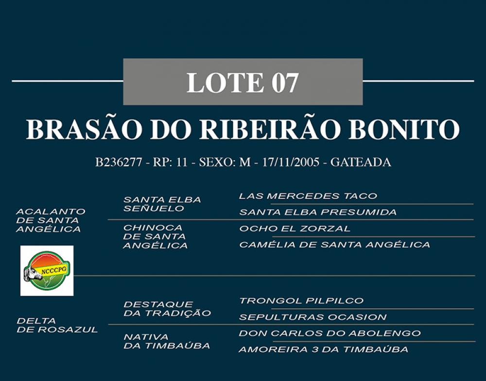 Remate Carapuça, Ribeirão Bonito & Convidados (Retransmissão) 